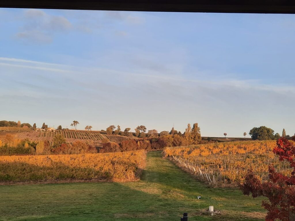 automne au Domaine de la Borie Blanche Dordogne à Pomport près de Bergerac