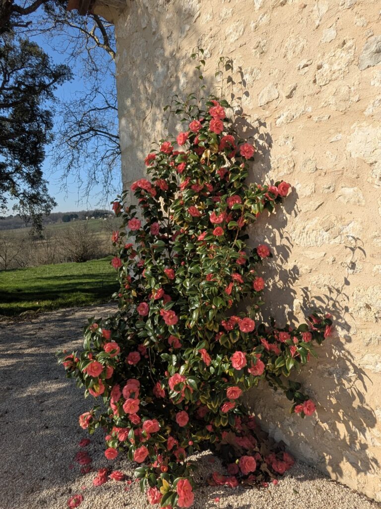 Doamine de la Borie Blanche Pomport Dordogne